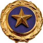 Gold Star Lapel Pin