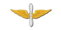 Aviation Branch Insignia