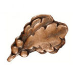 Bronze Oak Leaf Cluster