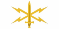 Cyber Branch Insignia