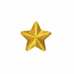 Gold Star Device