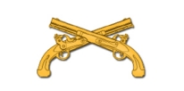 Military Police Branch Insignia