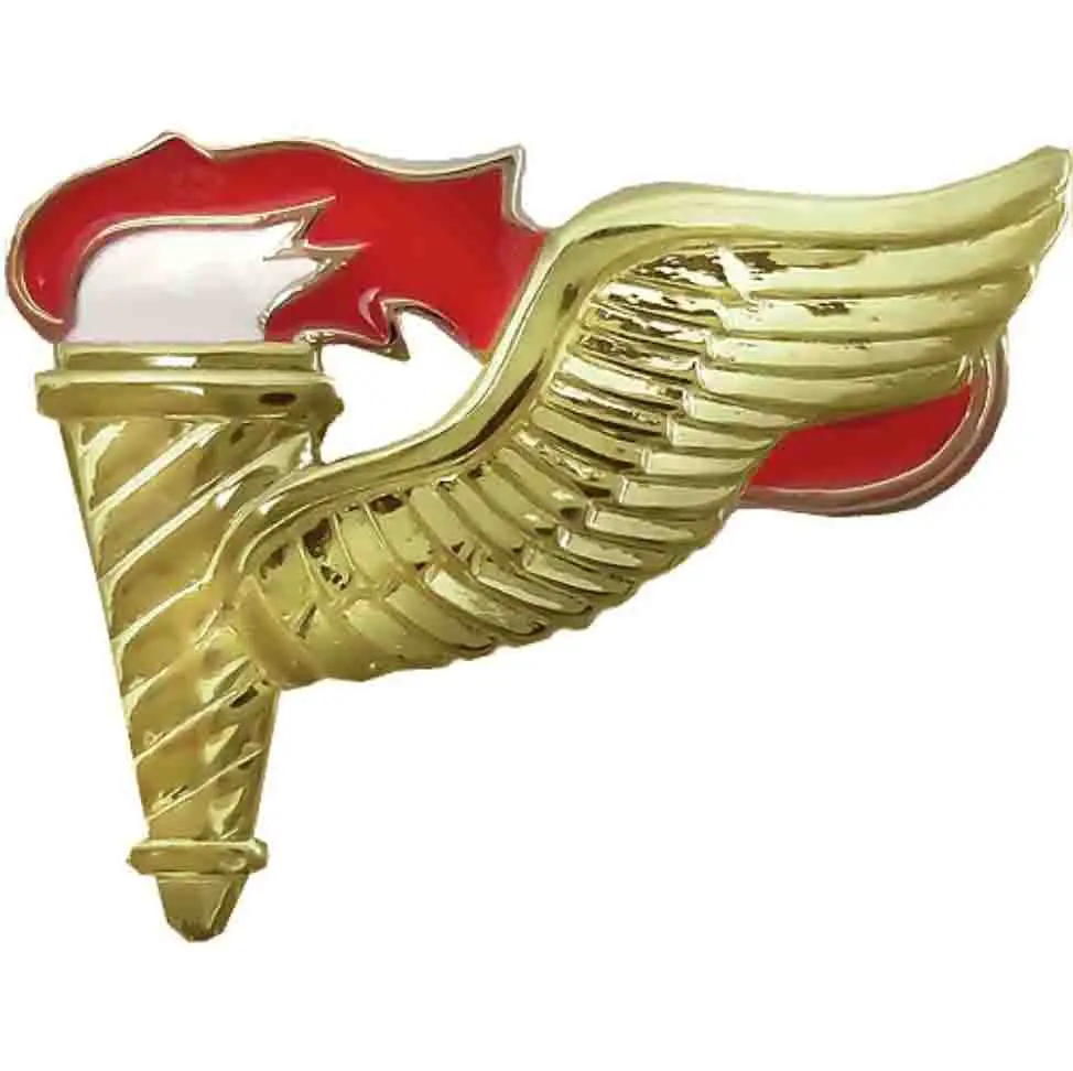 The Pathfinder Badge & Qualification (First In, Last Out) 6 Cutting ...