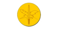 Public Affairs Branch Insignia