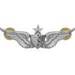 Senior Flight Surgeon Badge