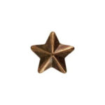 Service Star