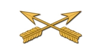 Special Forces Branch Insignia